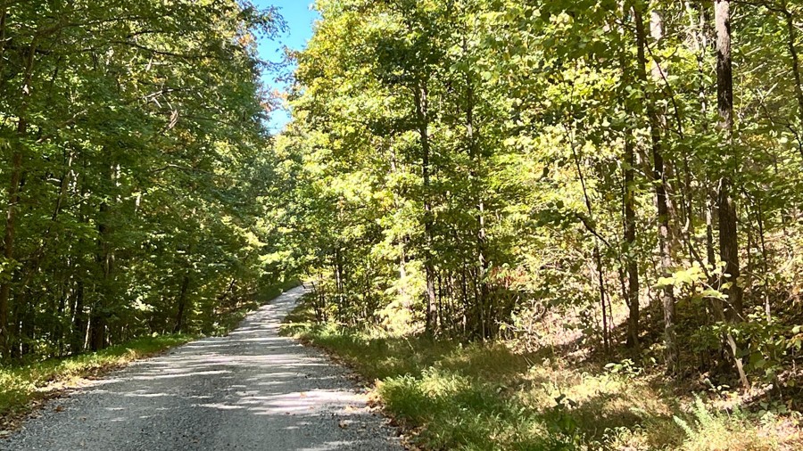 Willow Creek Trail Review Photo