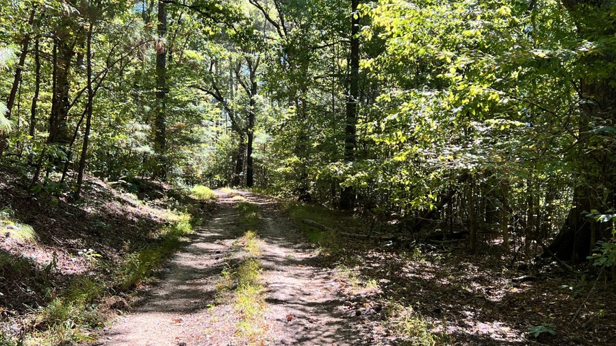 Wildcat Hollow Road Trail Review Photo