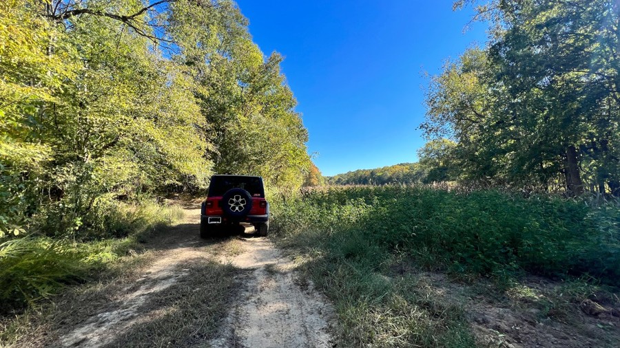 Wildcat Hollow Road Trail Review Photo