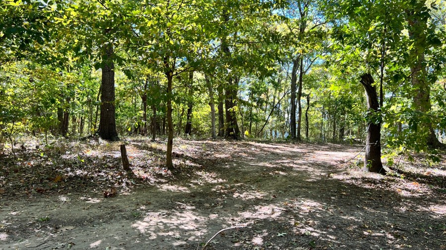 Herndon Cemetery Road Trail Review Photo