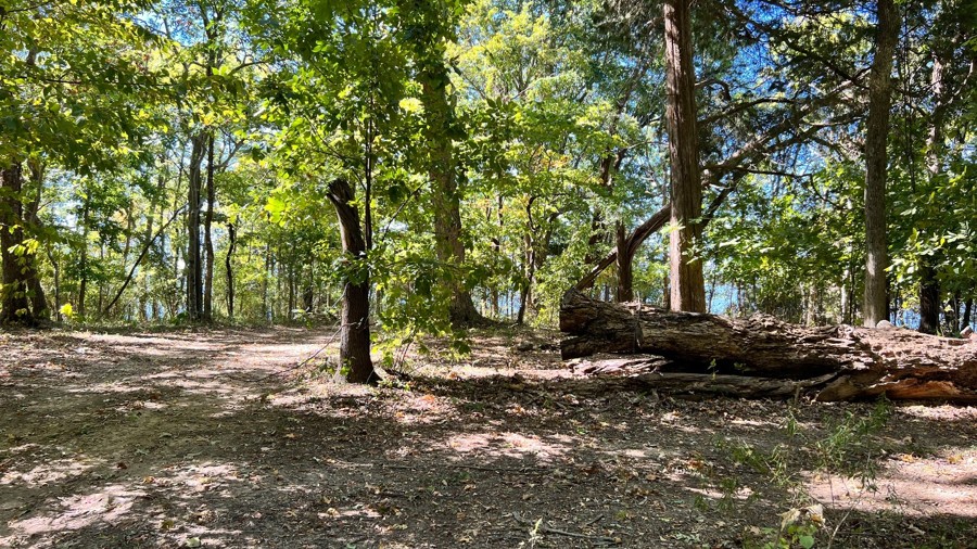 Herndon Cemetery Road Trail Review Photo