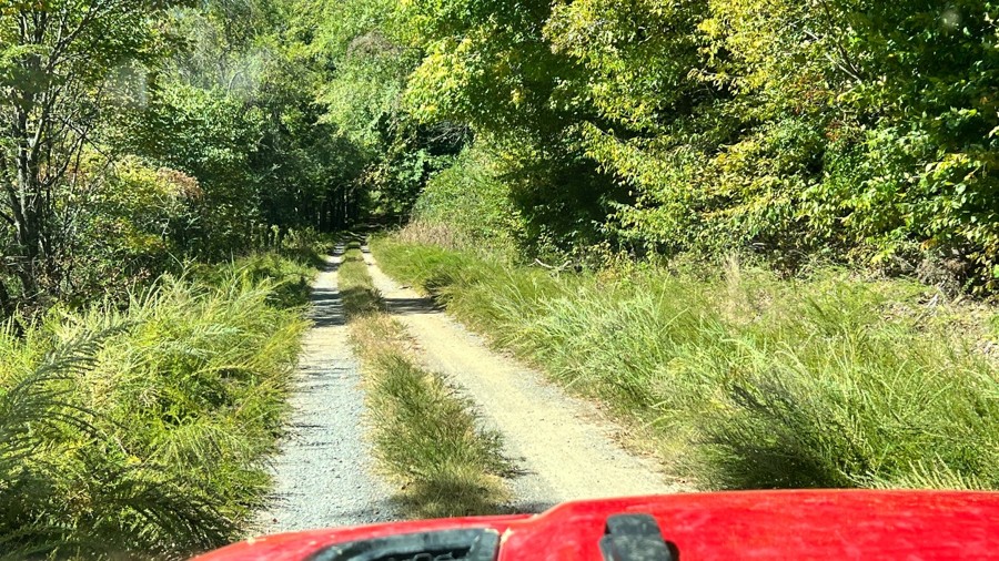 Crutcher Hollow Trail Review Photo