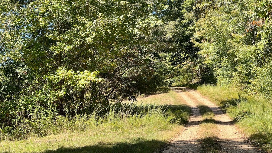 Crutcher Hollow Trail Review Photo