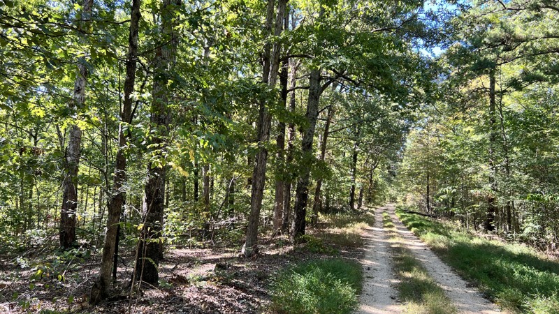Kentucky: Tower Road Hero Photo