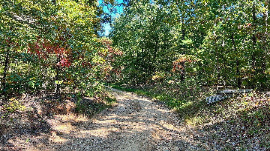Racetrack Hollow Trail Review Photo