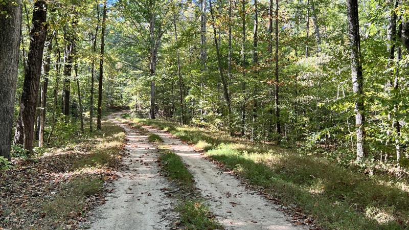 Kentucky: Wooldand Road Hero Photo