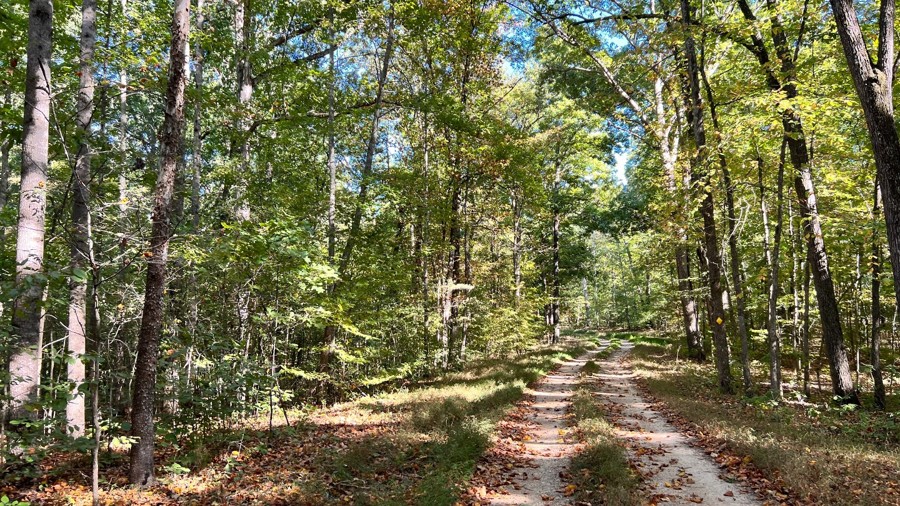 Wooldand Road Trail Review Photo