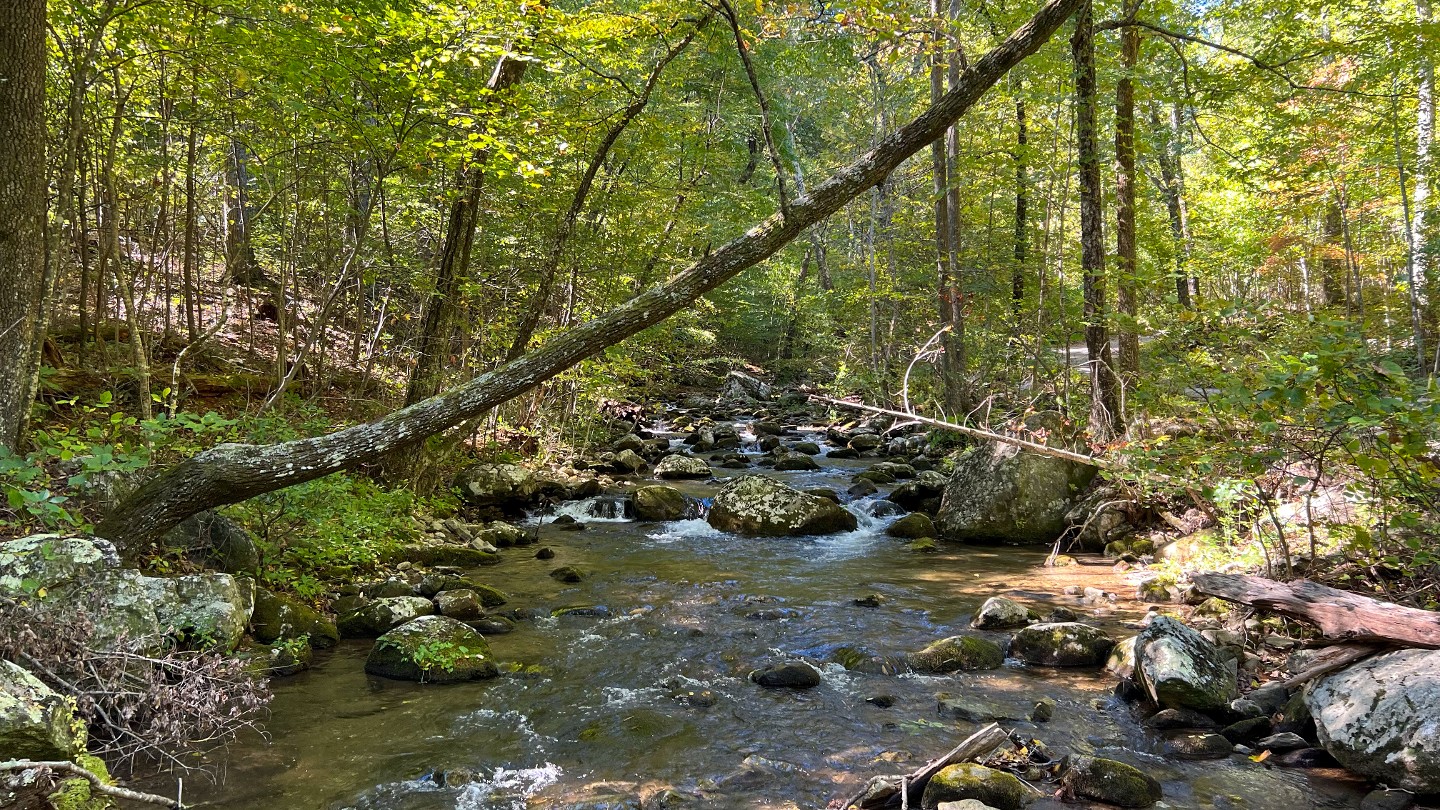Highlight: https://images-prod.trailsoffroad.com/scout_routes/1415/hero_file_name/1665112029842_resizedIMG0120.jpg