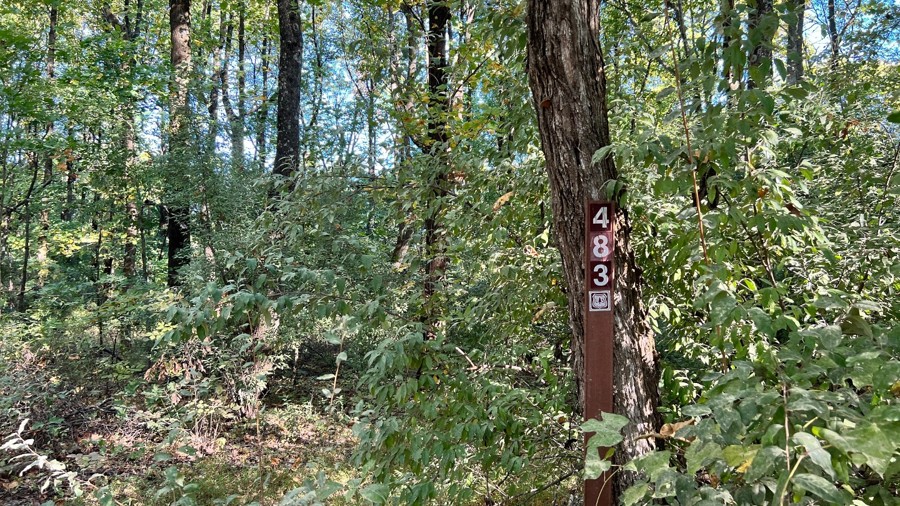 Pisgah Point Spur Trail Review Photo