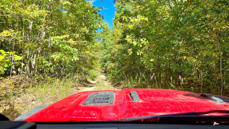 Dodd's Ridge Road Trail Review Photo