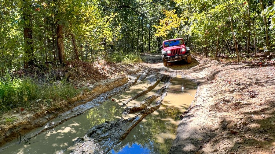 Dodd's Ridge Road Trail Review Photo