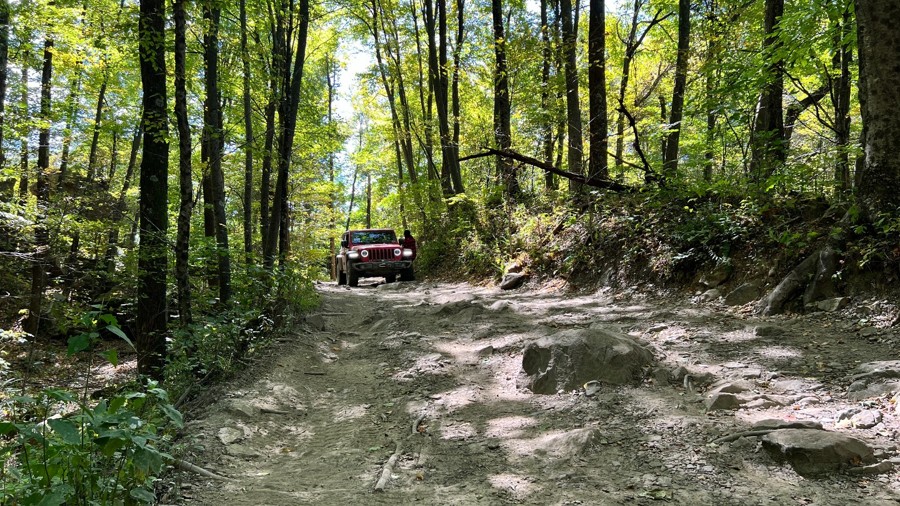 Windrock Trail 4 Trail Review Photo