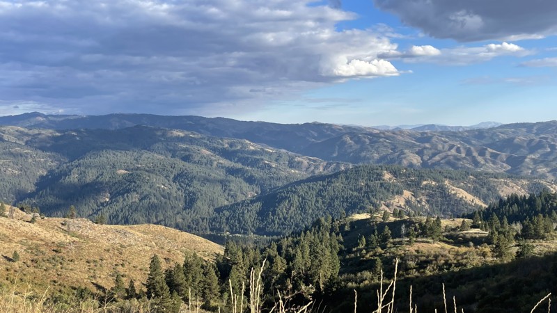 Idaho: Wildcat  Gulch Hero Photo
