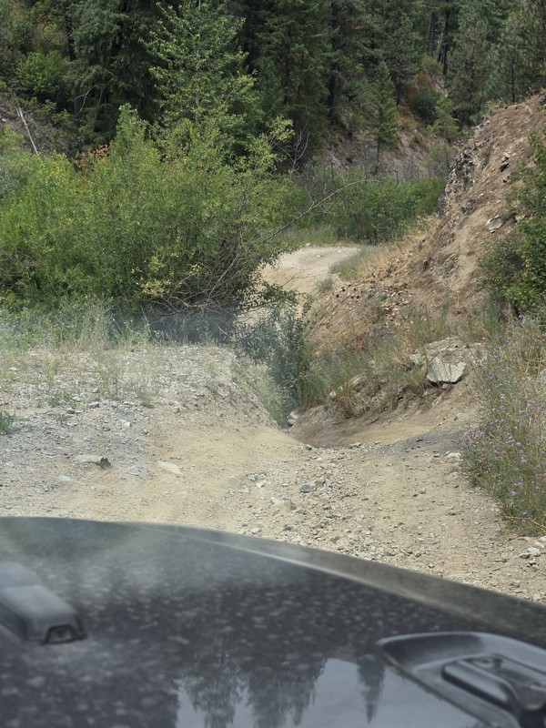 Cottonwood Trail Review Photo