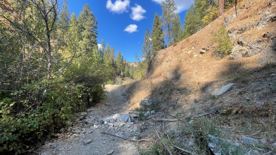 Rim Runner Trail Review Photo