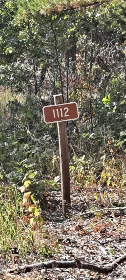 Tie Ridge Road Trail Review Photo