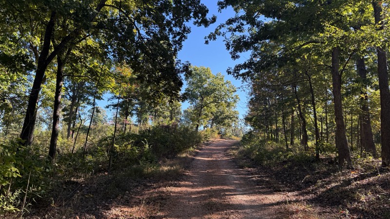 Tie Ridge Road Trail Review Photo