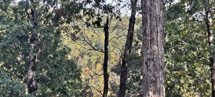 Caney Road Trail Review Photo
