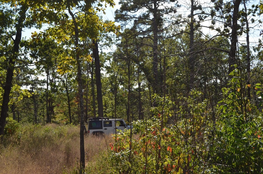 West Caney Road Trail Review Photo