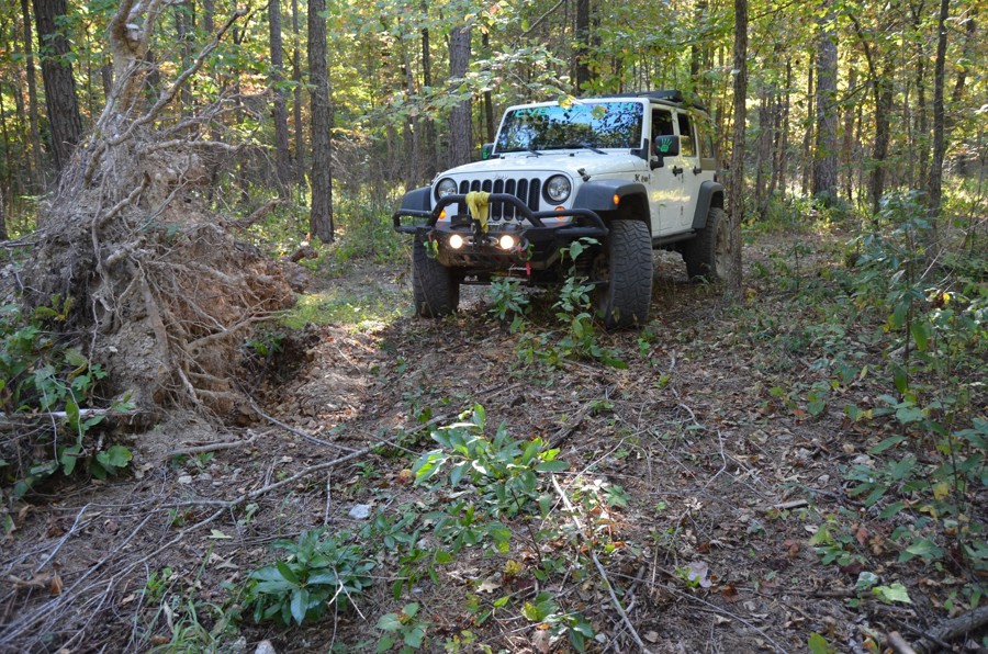 Gunn Road Trail Review Photo