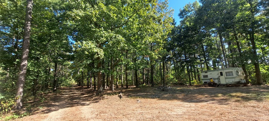 Whittaker FR 1102D Trail Review Photo