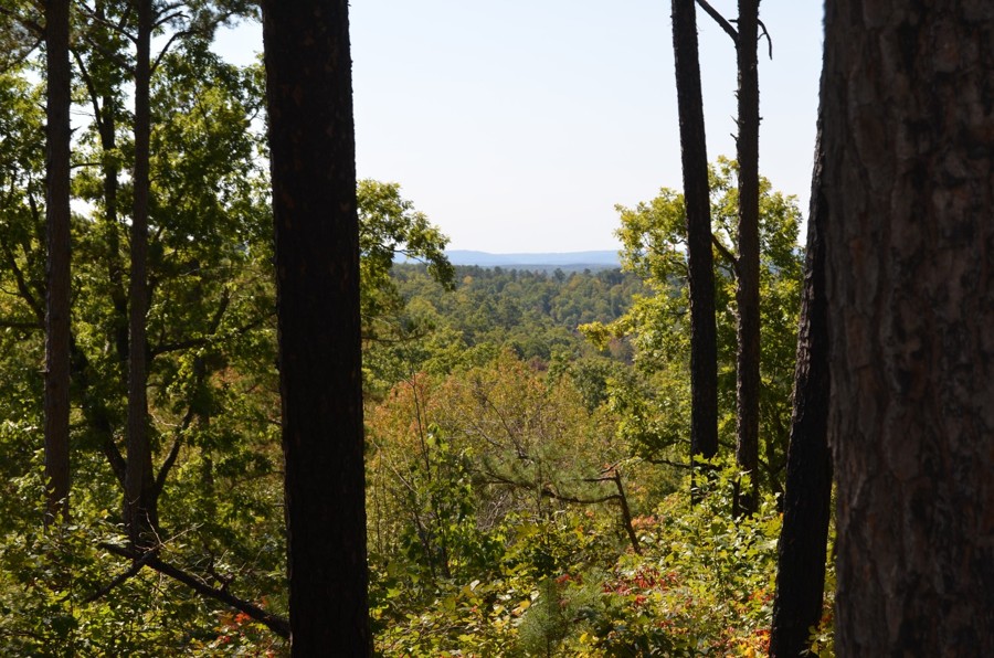 Whittaker FR 1102D Trail Review Photo