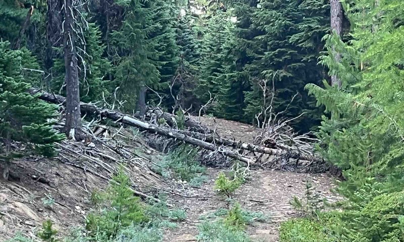 FS-1920 Trail Review Photo
