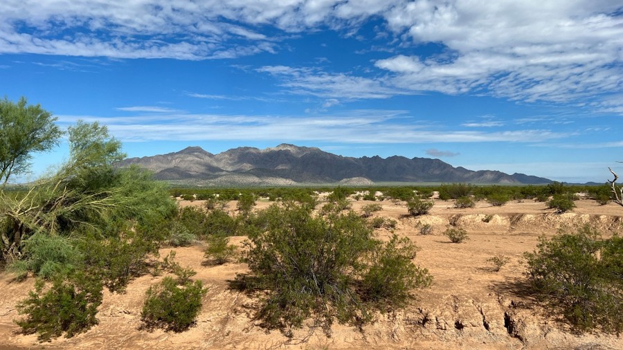 South Pecan Road Trail Review Photo