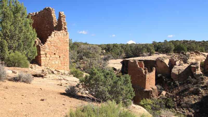 Colorado: Hovenweep: Hackberry/Holly Hero Photo