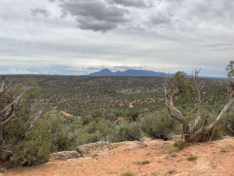 Hovenweep: Hackberry/Holly Trail Review Photo