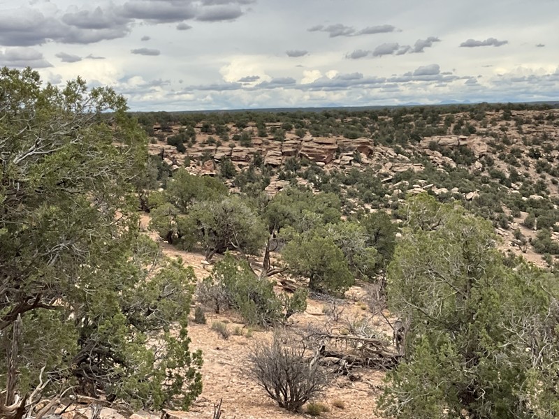 Hovenweep: Hackberry/Holly Trail Review Photo
