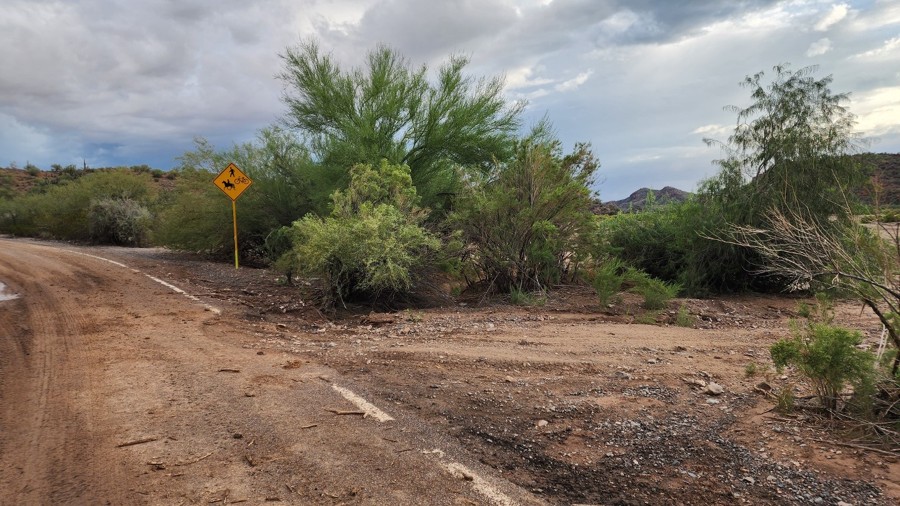 BLM 9094, Arizona | GPS Map, Photos & Reviews