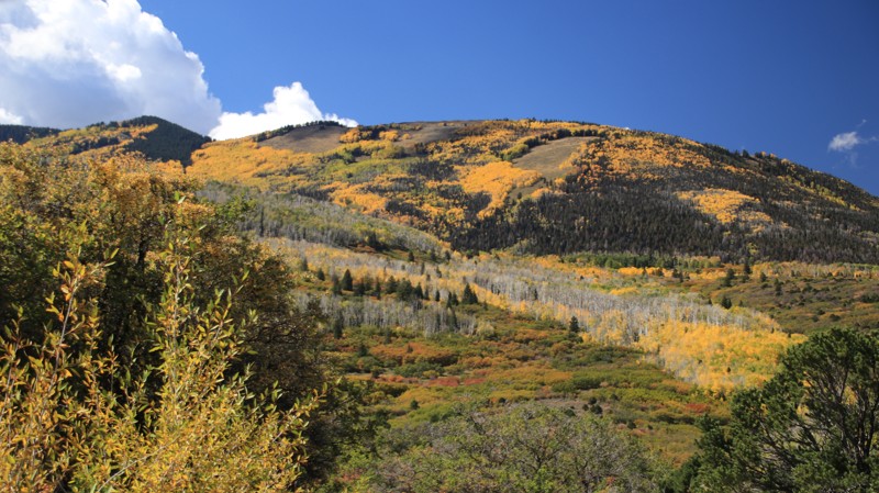 Utah: Spring Creek Scenic Byway Hero Photo