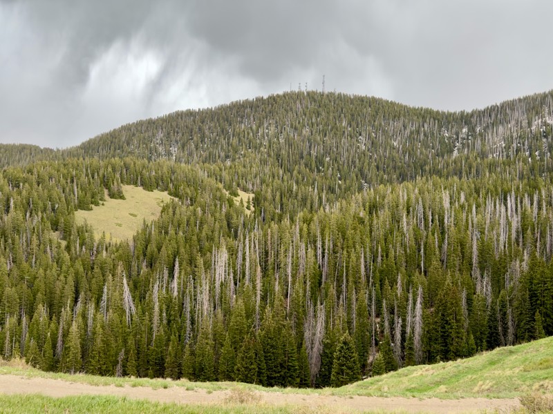 Indian Creek Trail Review Photo
