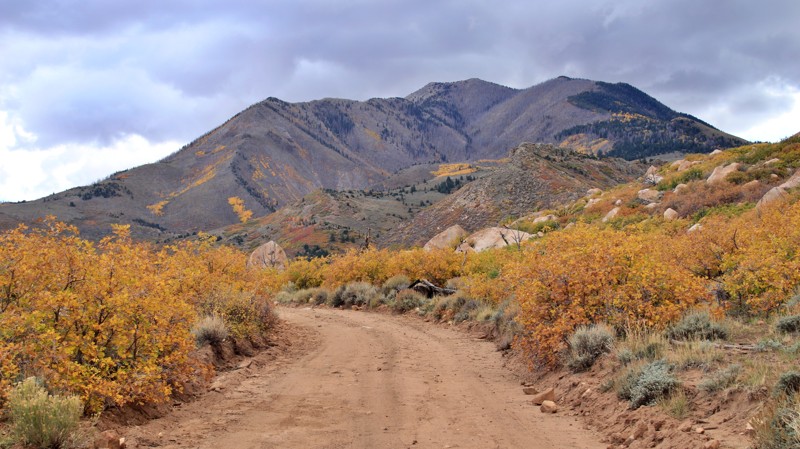 Utah: Trachyte Ranch Road Hero Photo