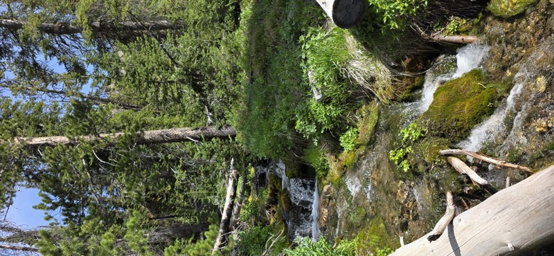 Pole Creek-Germania Creek Trail Review Photo
