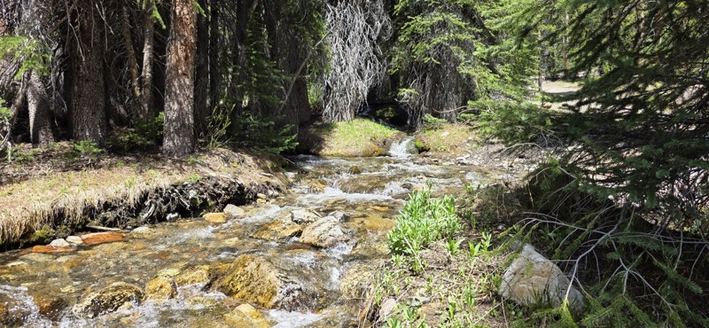 Pole Creek-Germania Creek Trail Review Photo