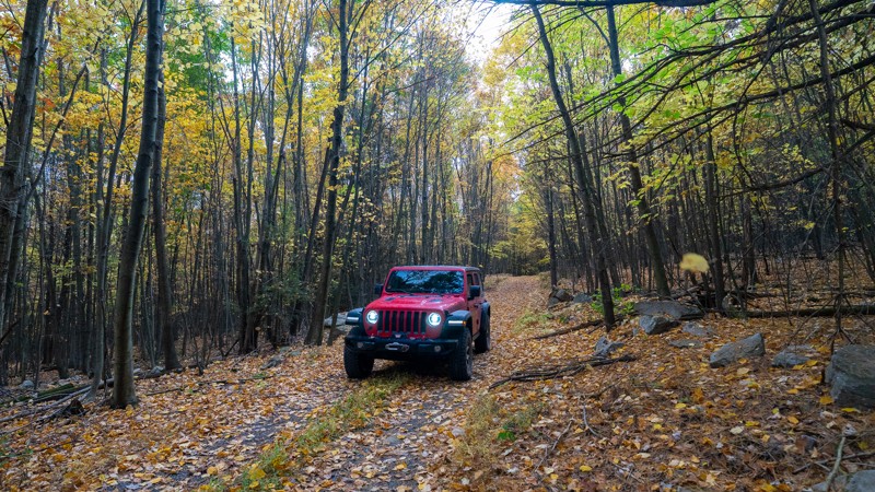 Pennsylvania: Red Gobbler Trail Hero Photo