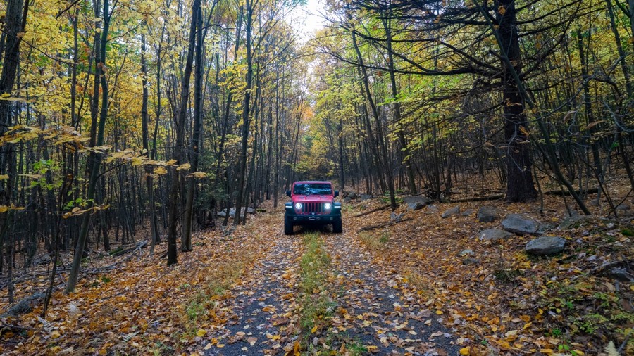 Red Gobbler Trail Trail Review Photo