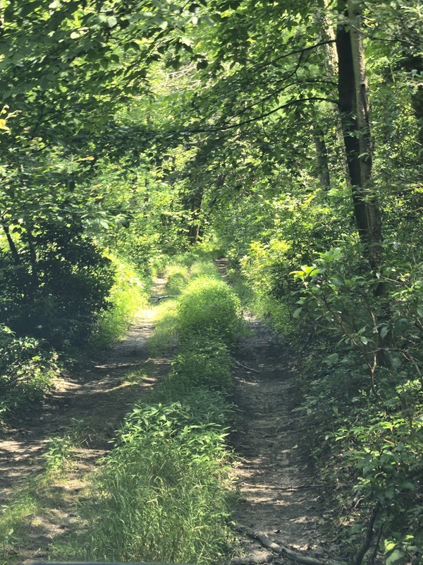 Henstep 4x4 Drivable Trail Trail Review Photo