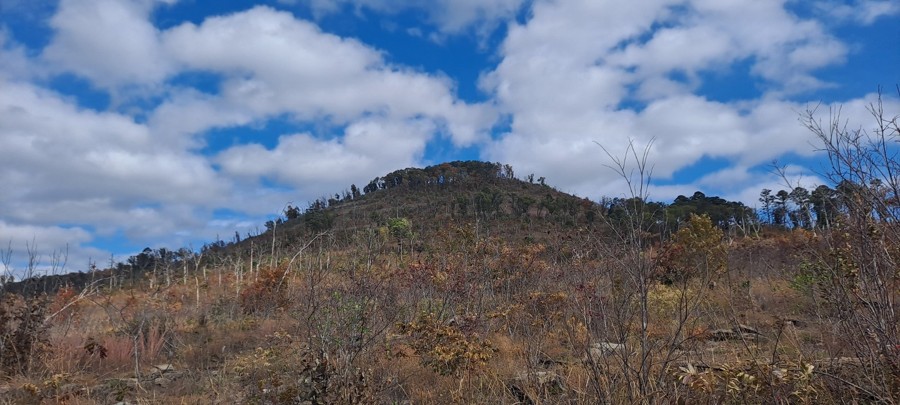 Bee Hollow Road Trail Review Photo