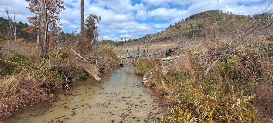 Bee Hollow Road Trail Review Photo