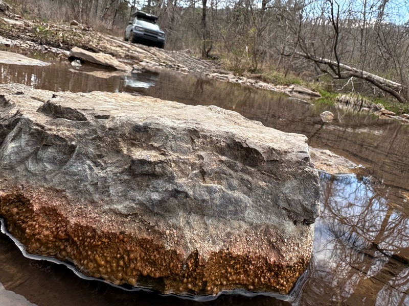 Bee Hollow Road Trail Review Photo