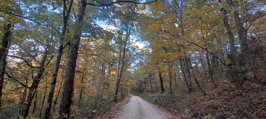 Green Mountain Road Trail Review Photo