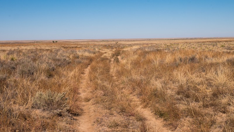 Kansas: Cimarron Grassland - Roland - 709.T Hero Photo