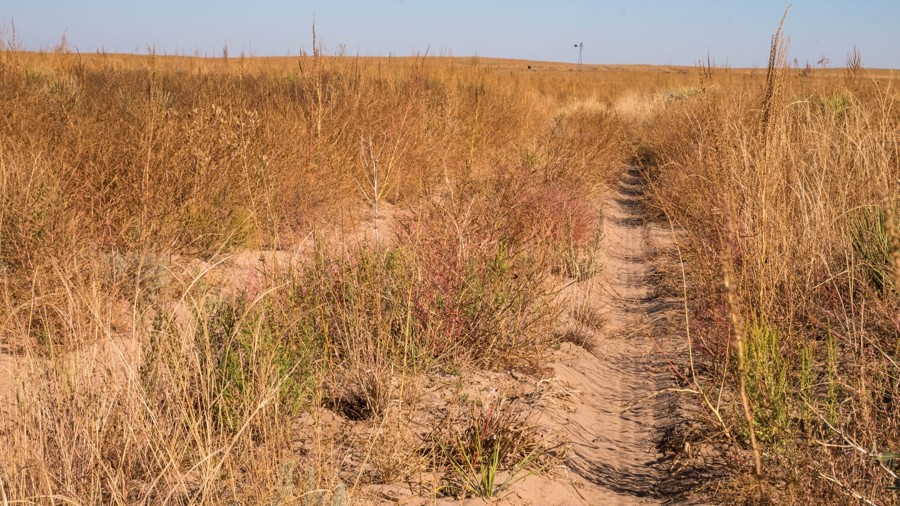 Cimarron Grassland - Stolen Windmill - 765 Trail Review Photo