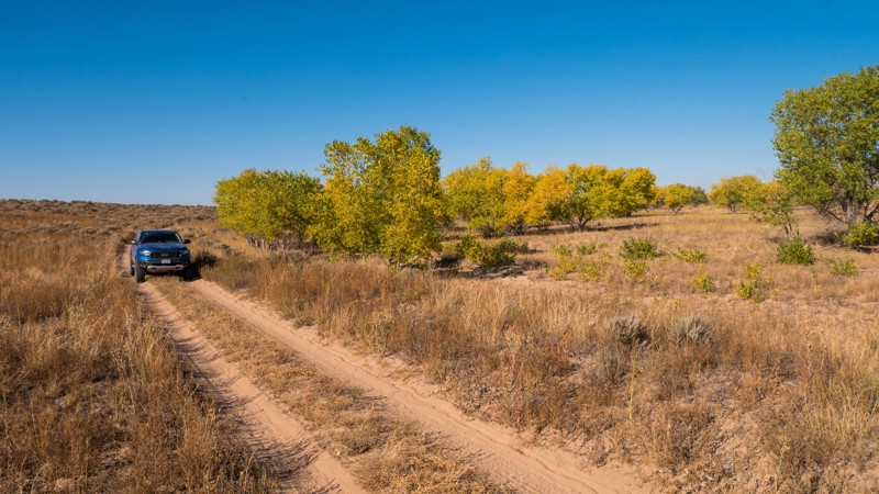 Kansas: Cimarron Grassland - Kohler - 774.B Hero Photo