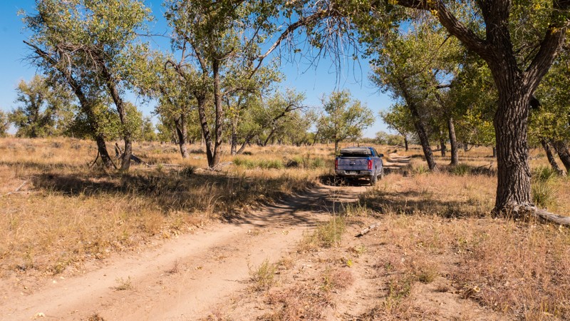 Kansas: Cimarron Grassland - Turkey Trail - 798.B Hero Photo