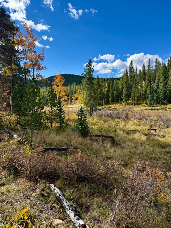 T Pit Trail Review Photo