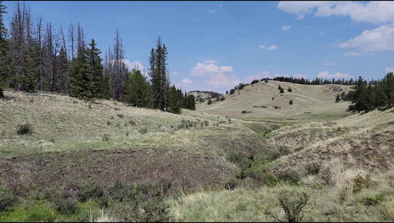 Colorado: Rye Slough Road Hero Photo